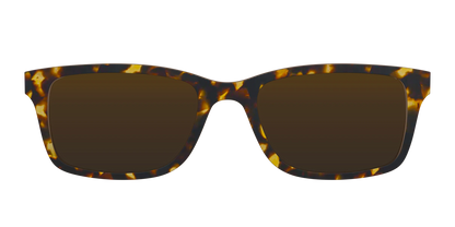The Polarized Tortoise Sun Top