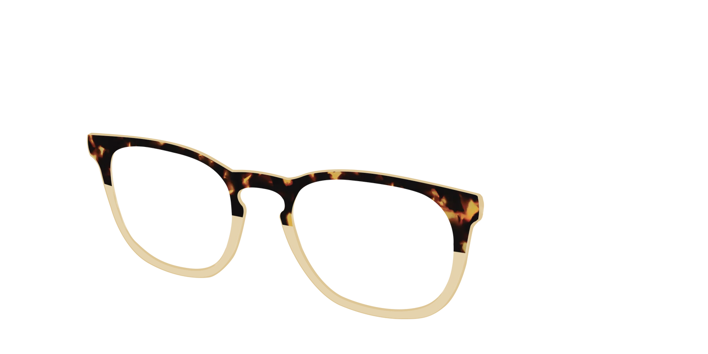 The Amber Tortoise Crystal Split