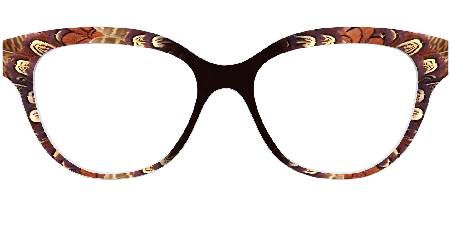 The Pheasant Feathers