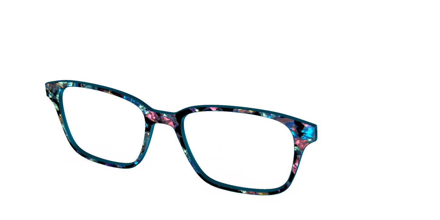 The Black Prismatic Pearl Tortoise