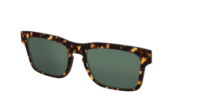 The Non-Polarized Green Tortoise Sun Top