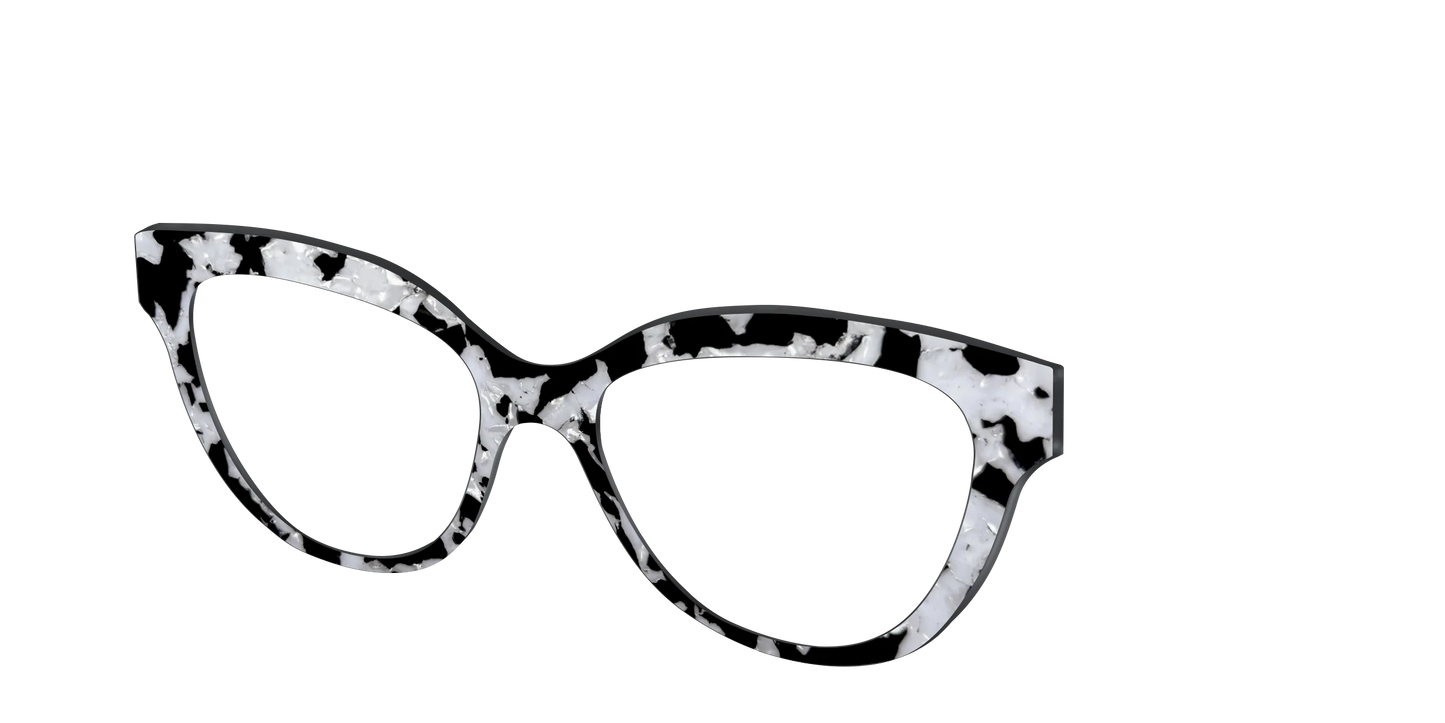 The Black & White Pearl Tortoise