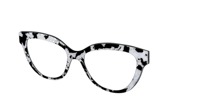 The Black & White Pearl Tortoise