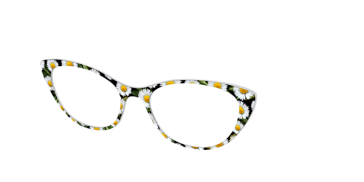 The Delicate Daisies