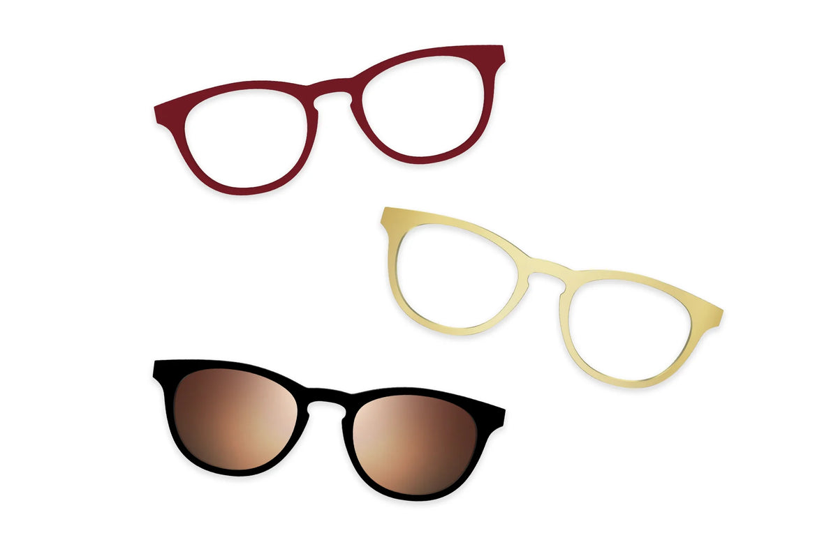 Tortoise - Set