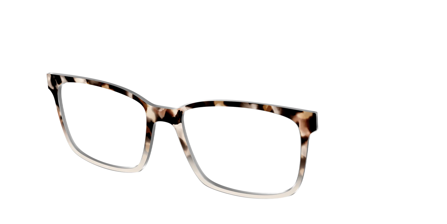 The Vanilla Latte Tortoise