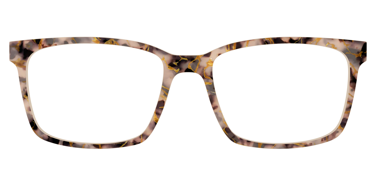 The Almond Tortoise with Gold Streaks