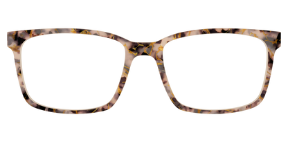 The Almond Tortoise with Gold Streaks