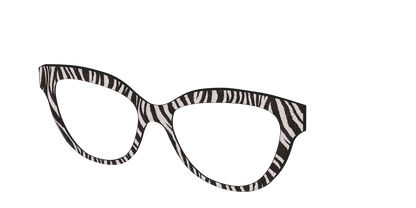 The Zebra Stripes