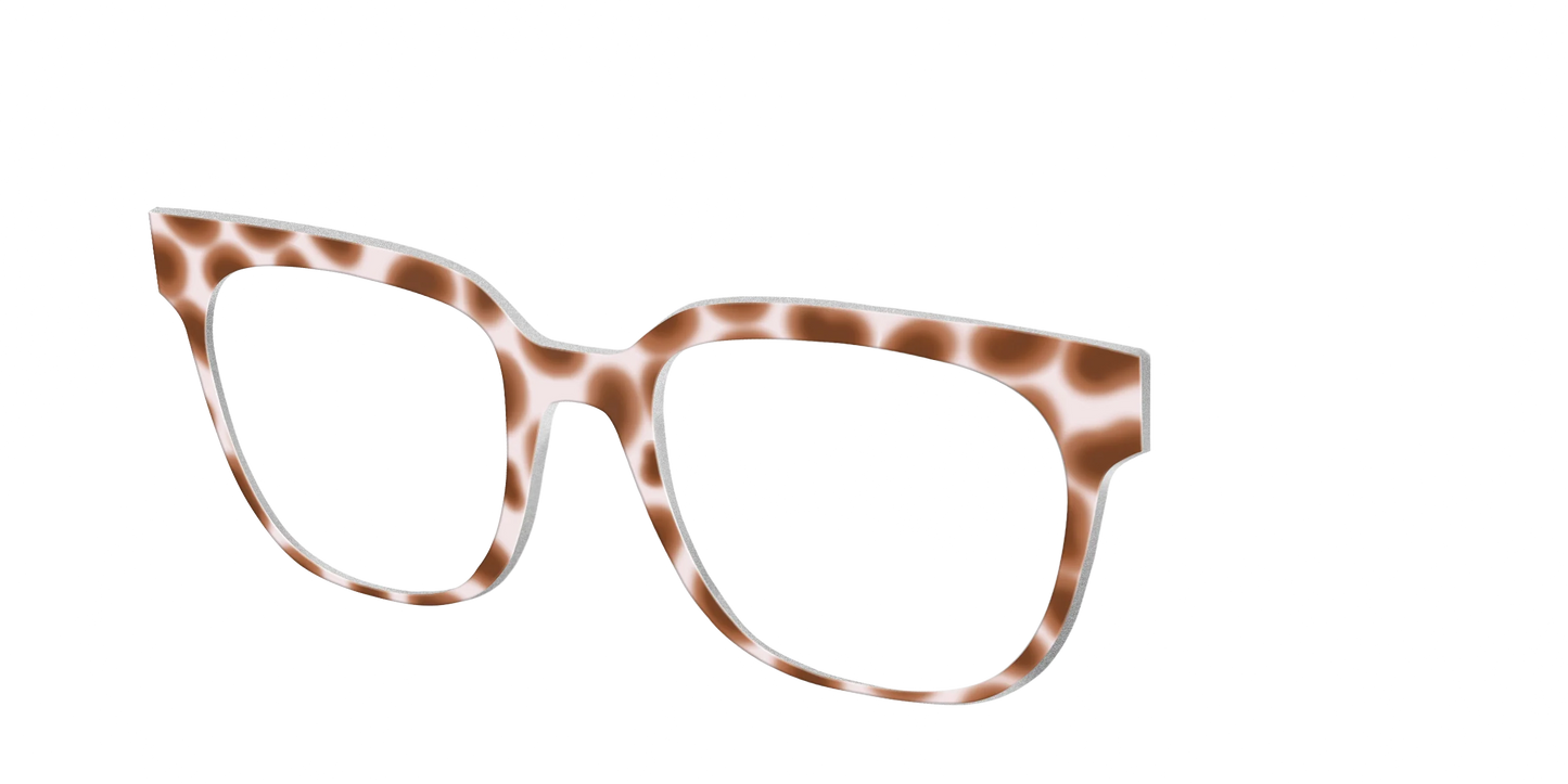 The Caffé Tortoise