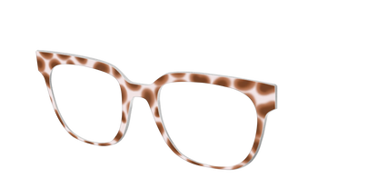The Caffé Tortoise