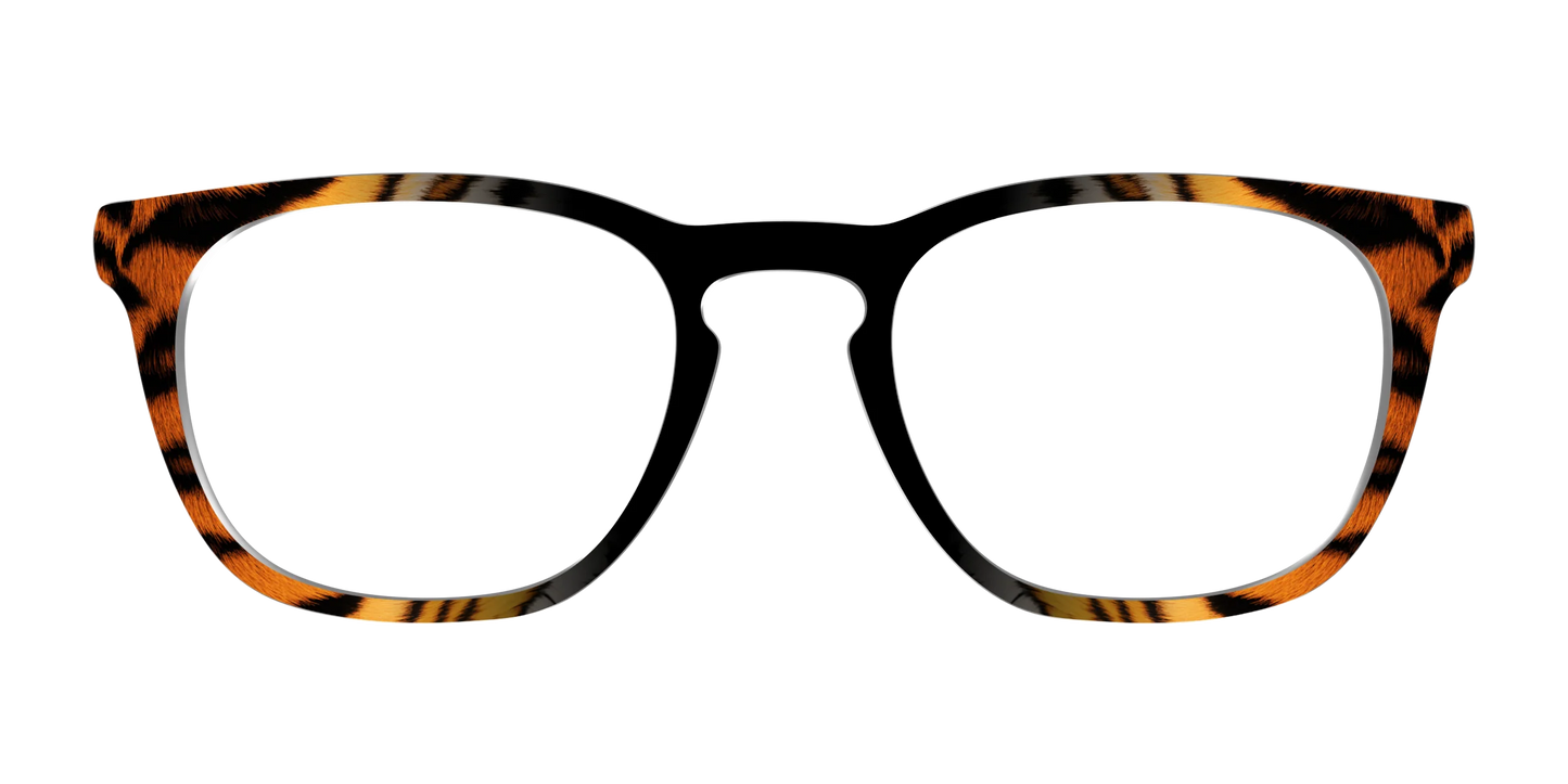 The Bengal Stripes