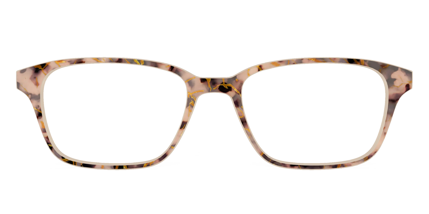 The Almond Tortoise with Gold Streaks