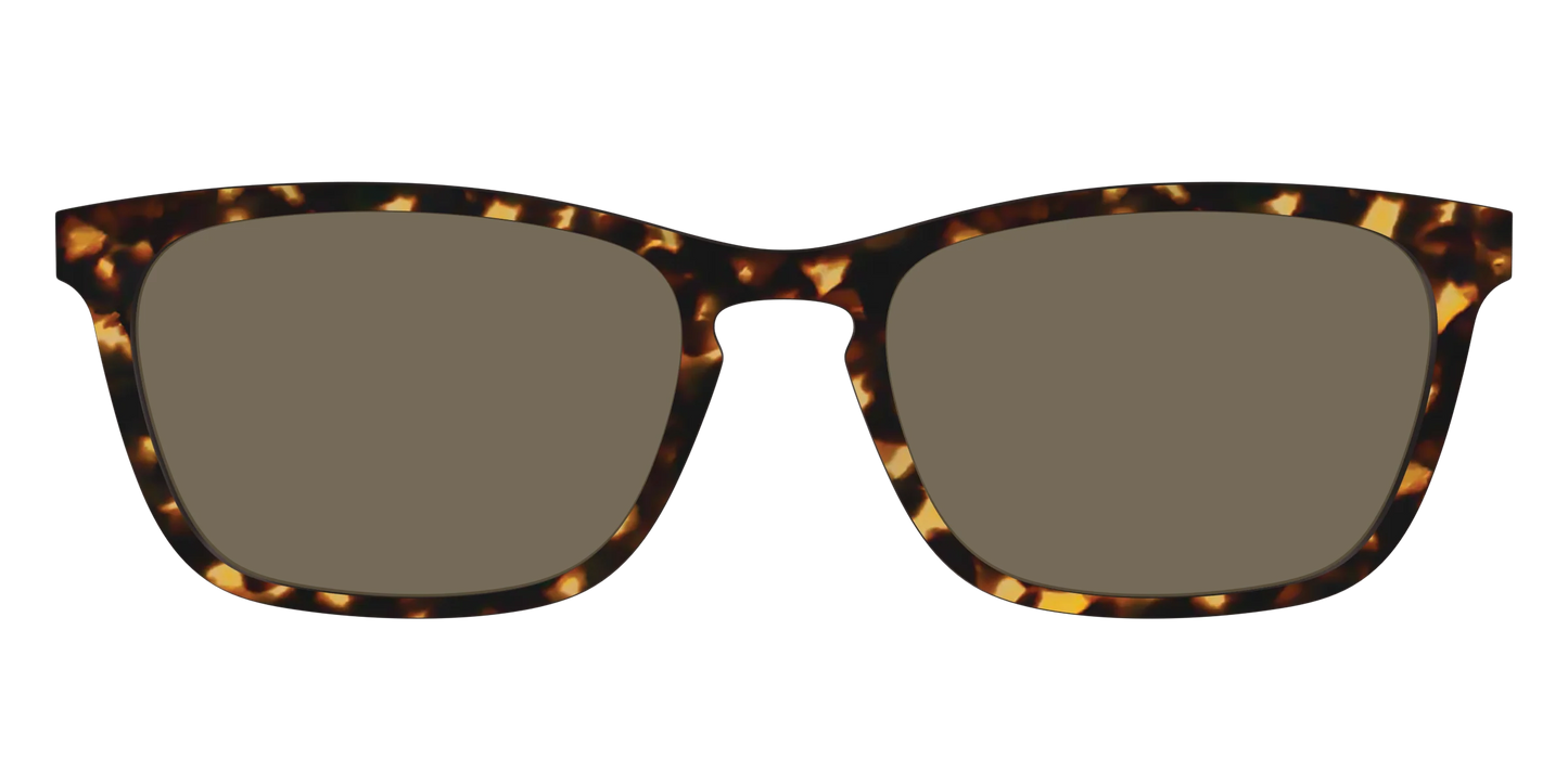 The Non-Polarized Tortoise Sun Top