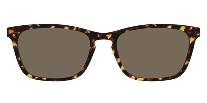 The Non-Polarized Tortoise Sun Top