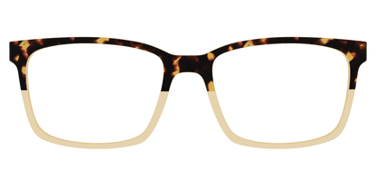 The Amber Tortoise Crystal Split