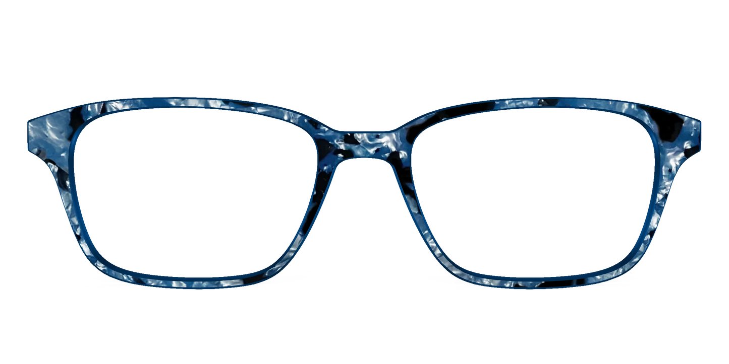 The Midnight Blue Pearl Tortoise