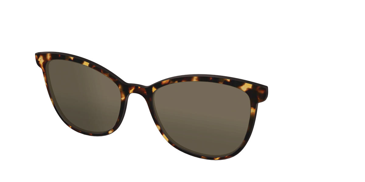 The Polarized Tortoise Sun Top
