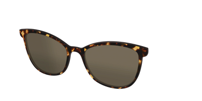 The Polarized Tortoise Sun Top