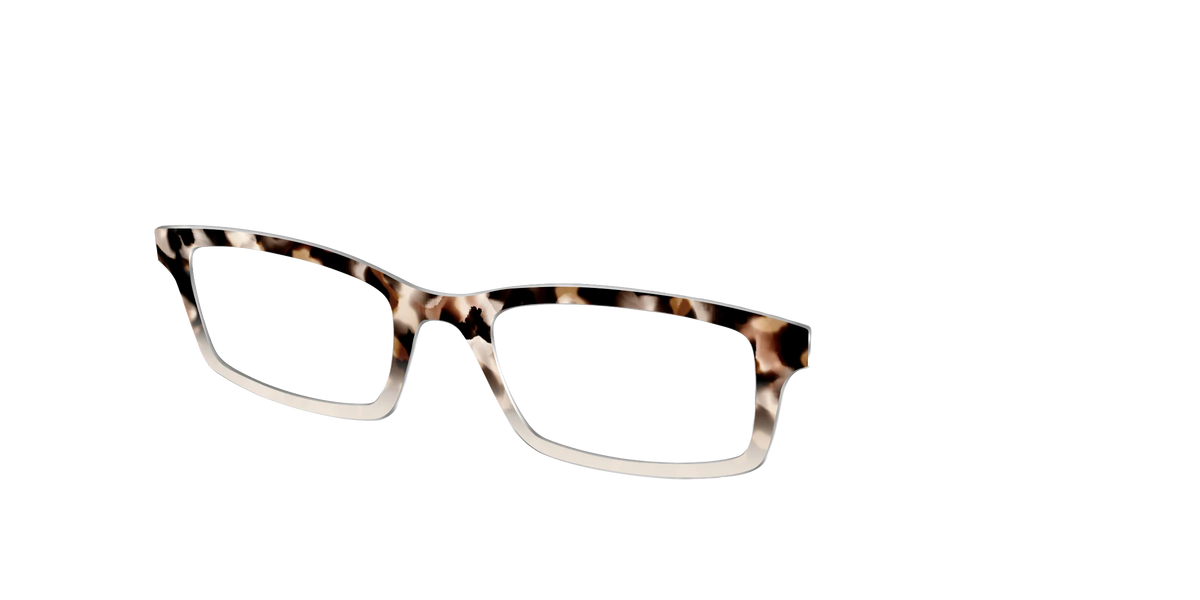 The Vanilla Latte Tortoise