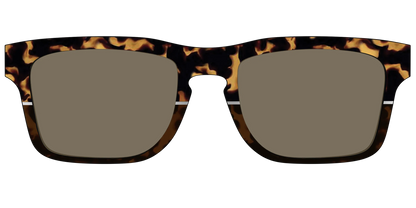 The Polarized Chic Tortoise Split Sun Top