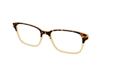 The Amber Tortoise Crystal Split