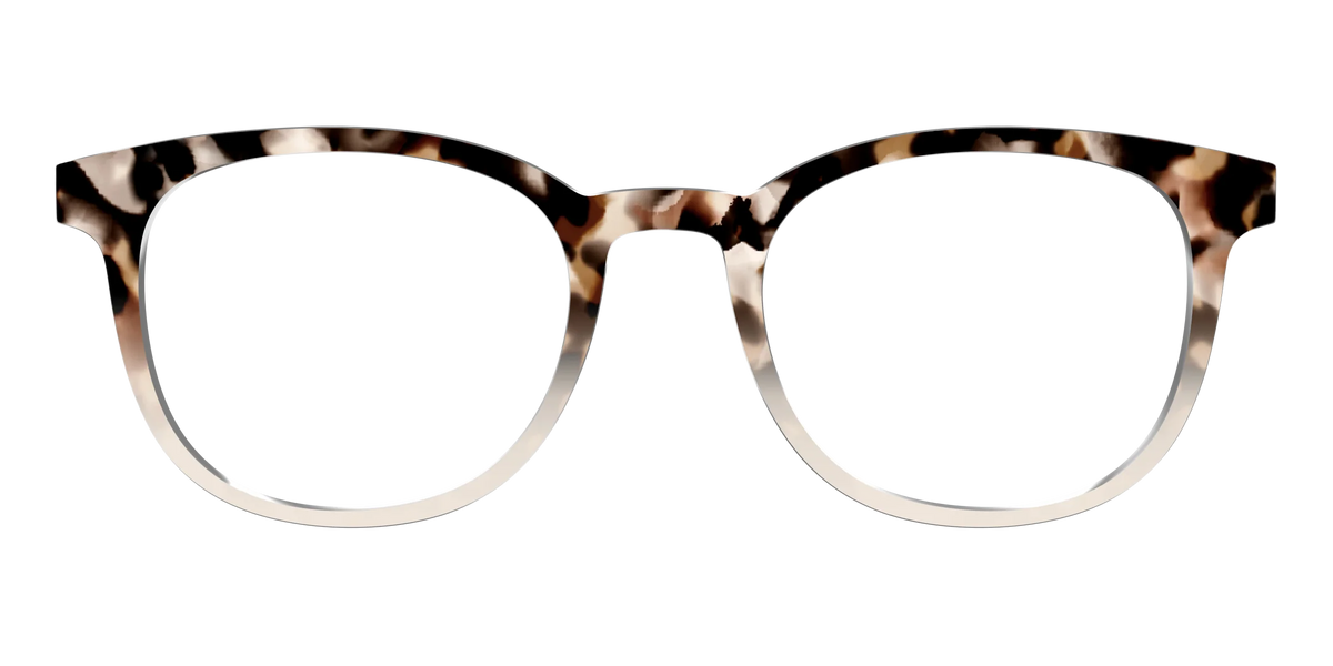 The Vanilla Latte Tortoise