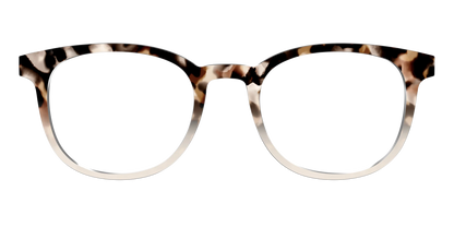 The Vanilla Latte Tortoise