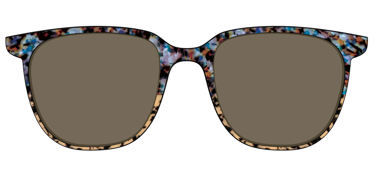 The Polarized Oasis Tortoise Split Sun Top