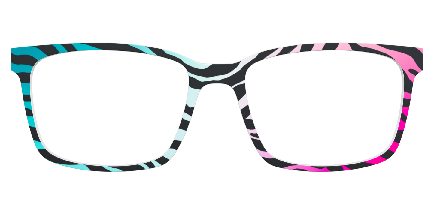The Rainbow Zebra