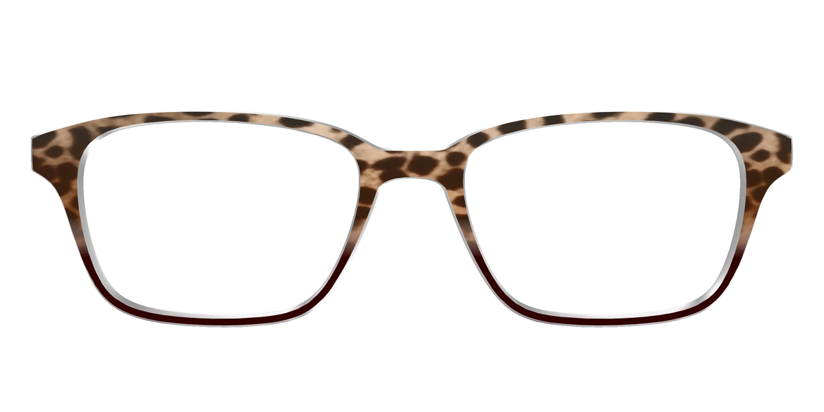 The Jungle Cat Tortoise