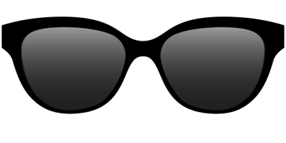 The Polarized Black Sun Top