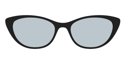 The Black With Slate Blue Lens