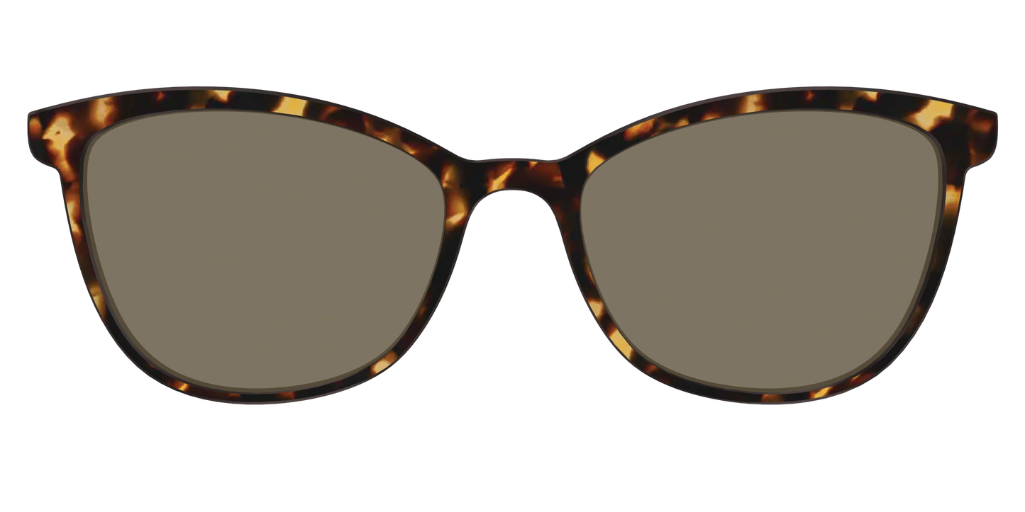 The Non-Polarized Tortoise Sun Top