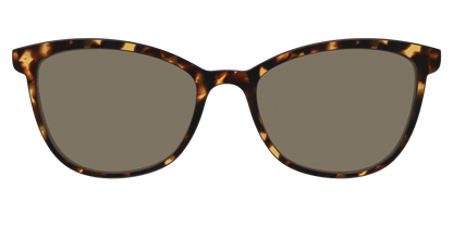 The Non-Polarized Tortoise Sun Top
