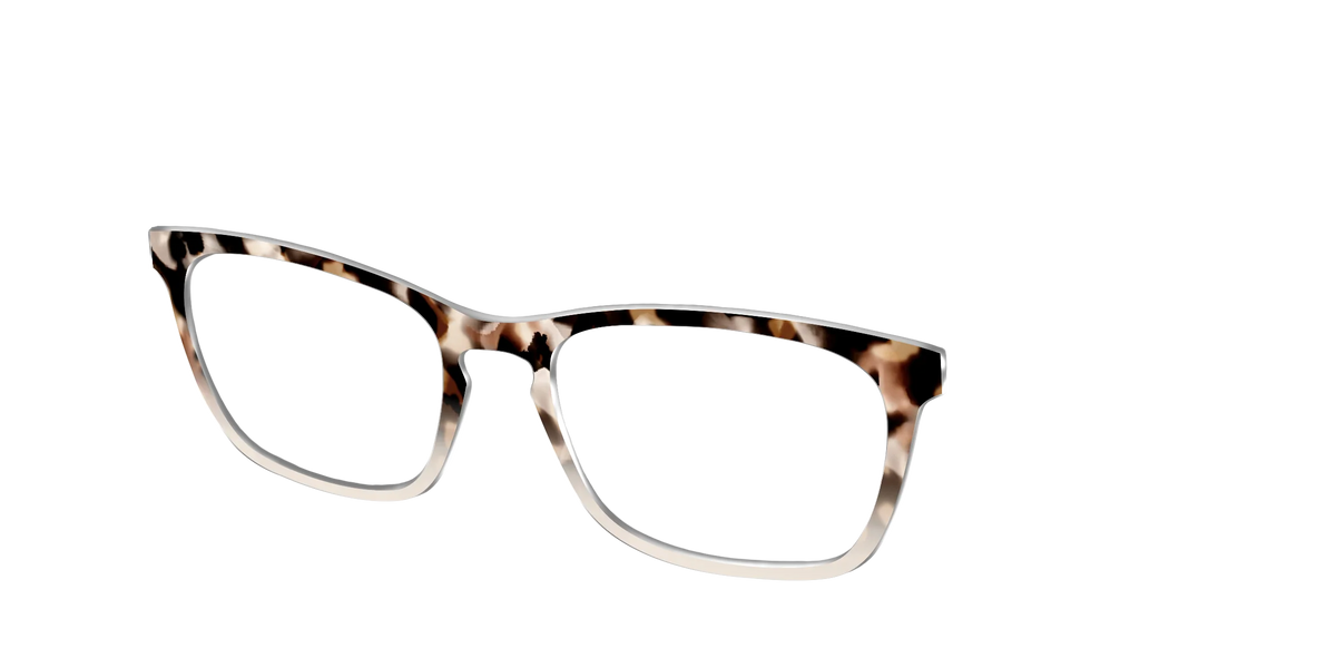 The Vanilla Latte Tortoise