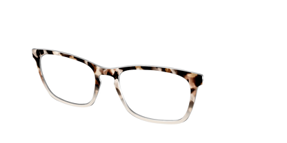The Vanilla Latte Tortoise