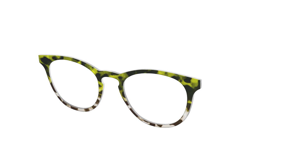 The Avocado to Ivory Tortoise