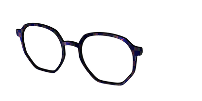 The Black Holographic Check