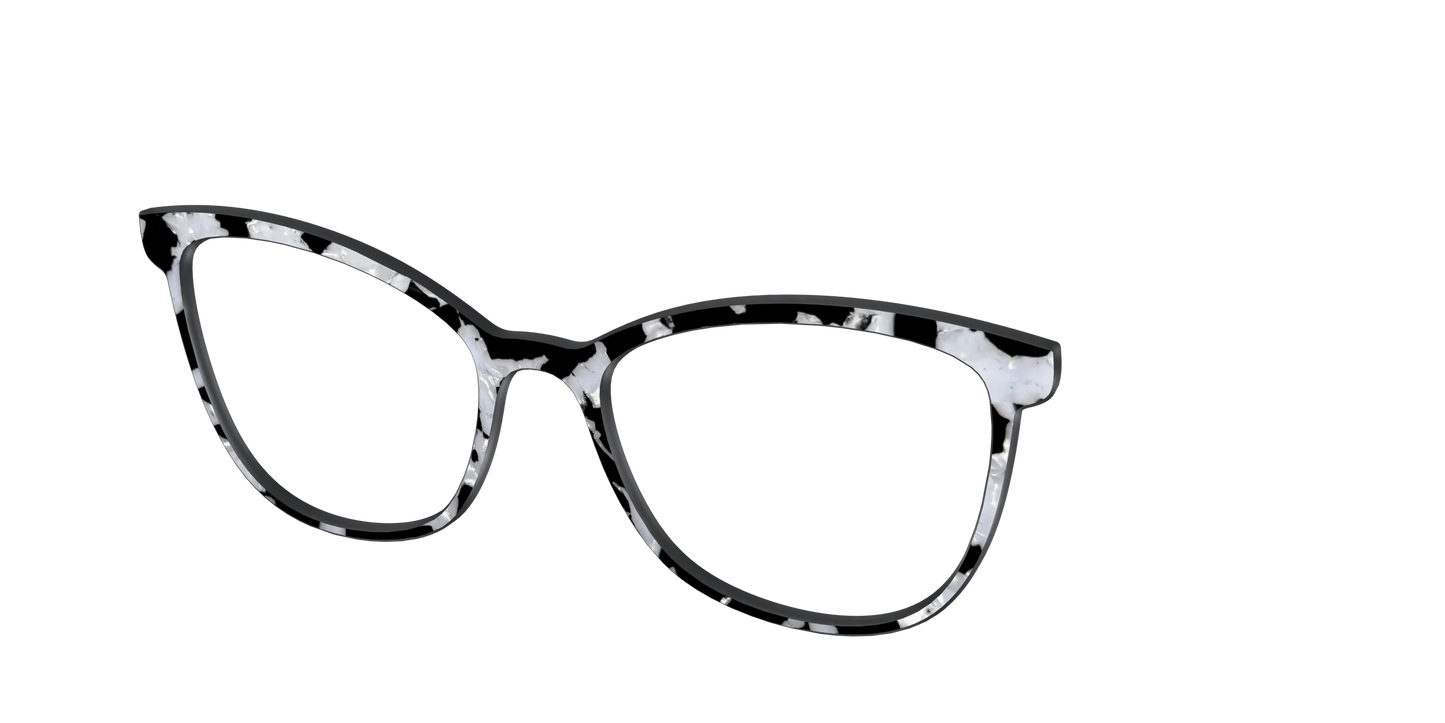 The Black & White Pearl Tortoise