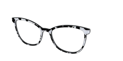 The Black & White Pearl Tortoise