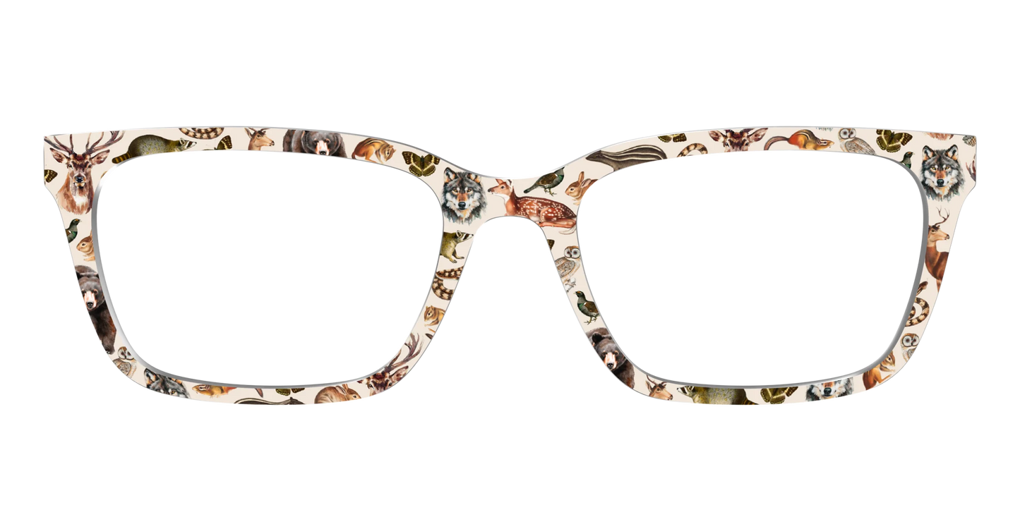 The Wildlife Illustrations