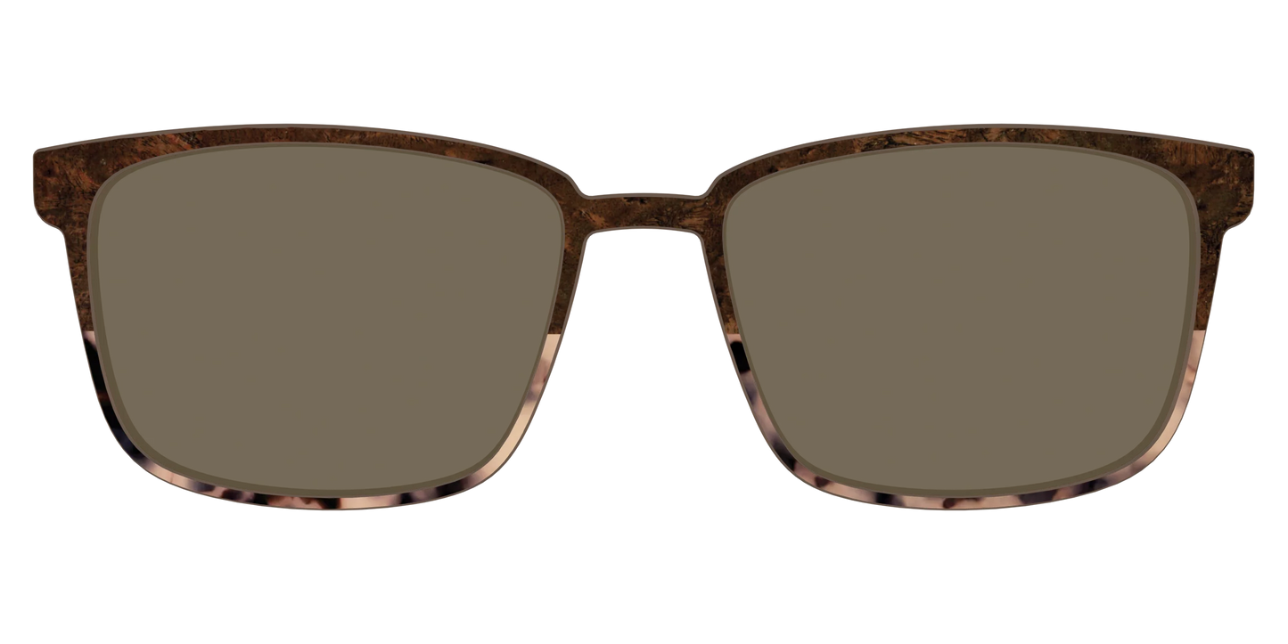 The Polarized Dark Oak Tortoise Split Sun Top