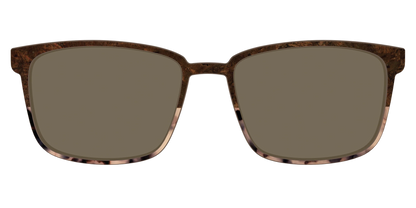 The Polarized Dark Oak Tortoise Split Sun Top
