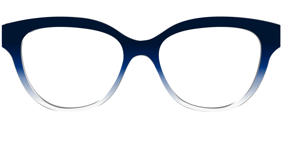 The Navy to White Gradient