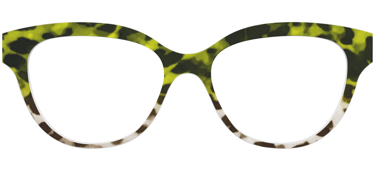 The Avocado to Ivory Tortoise