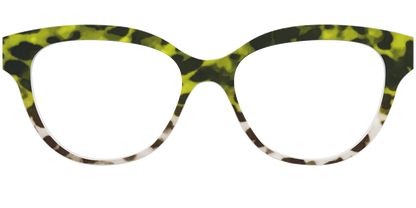 The Avocado to Ivory Tortoise
