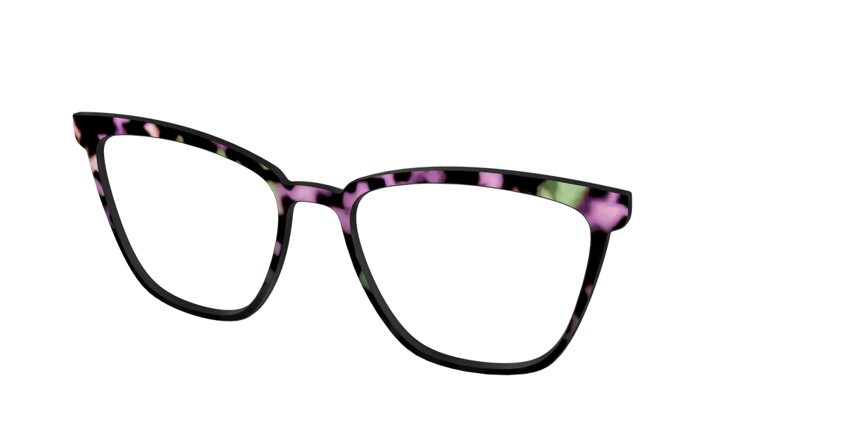 The Boysenberry Tortoise