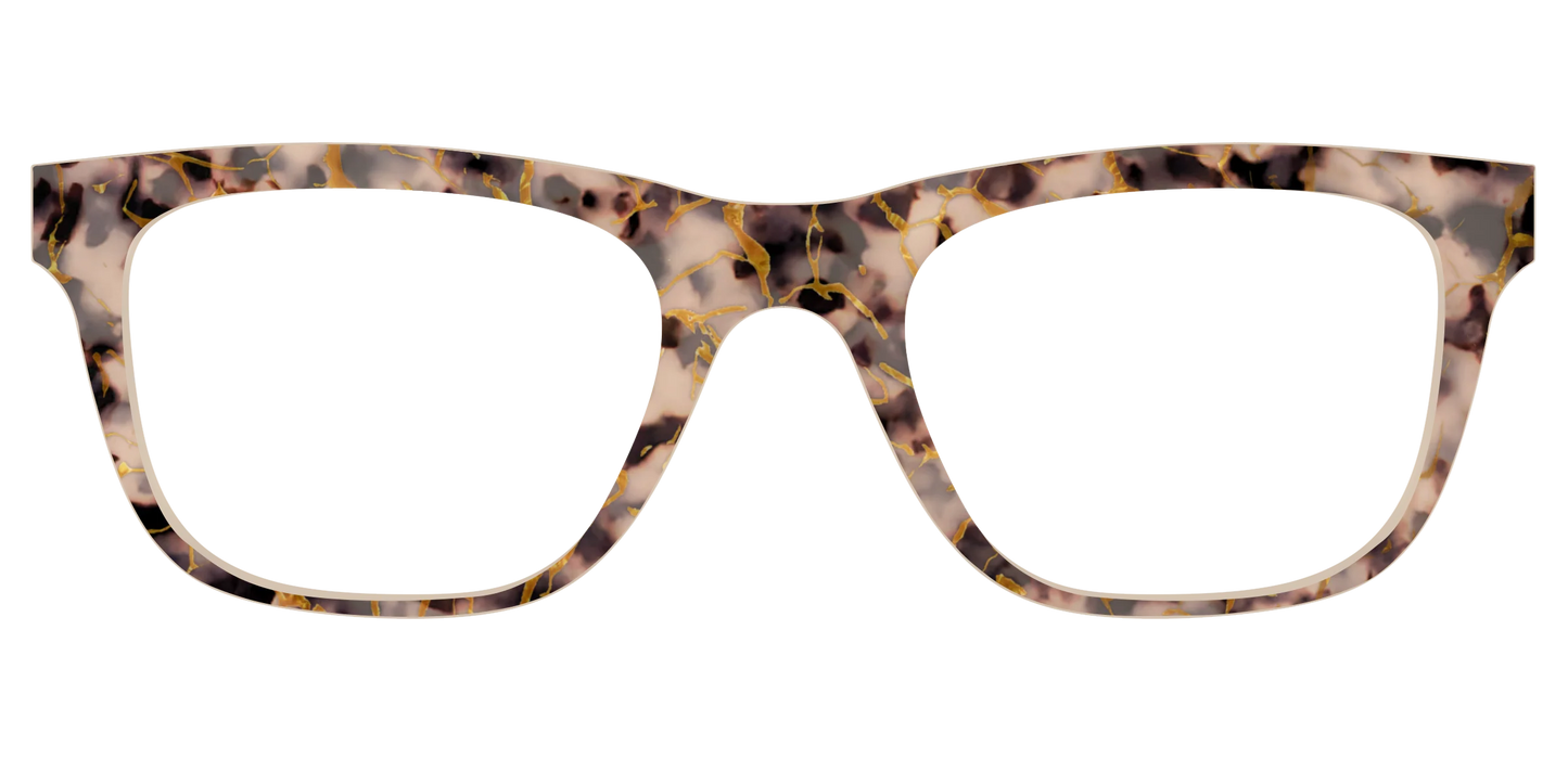 The Almond Tortoise with Gold Streaks