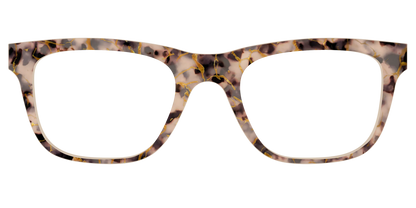 The Almond Tortoise with Gold Streaks